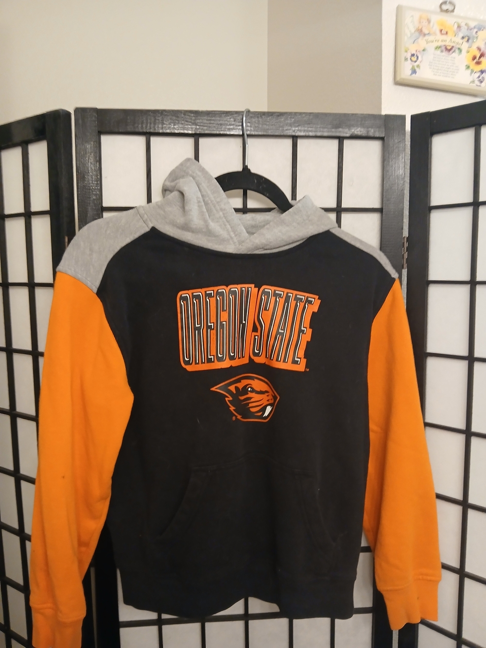 Boys Hooded Sweatshirt - Black & Orange